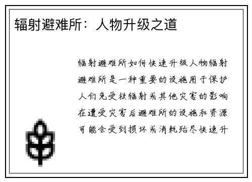辐射避难所：人物升级之道